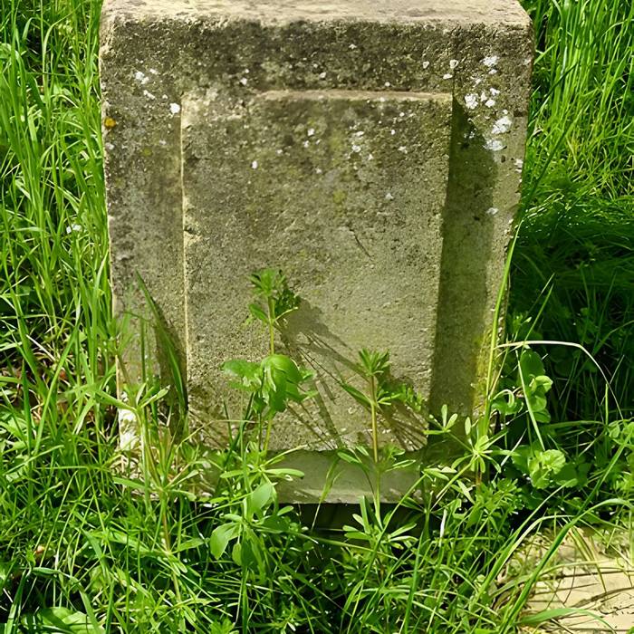 Photo de Ermitage de Jean-Jacques Rousseau