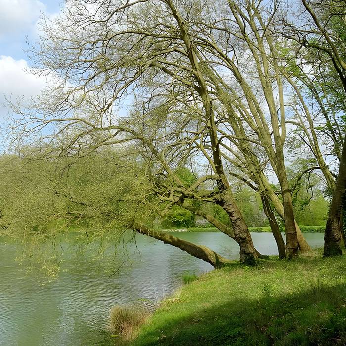 Photo de Ermitage de Jean-Jacques Rousseau