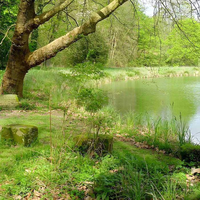 Photo de Ermitage de Jean-Jacques Rousseau