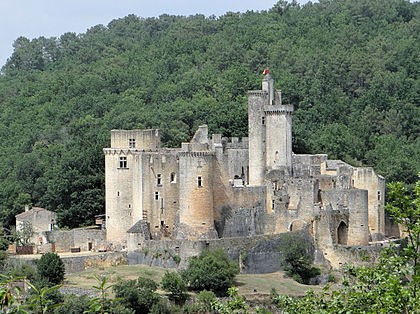 Photo de Château de Bonaguil