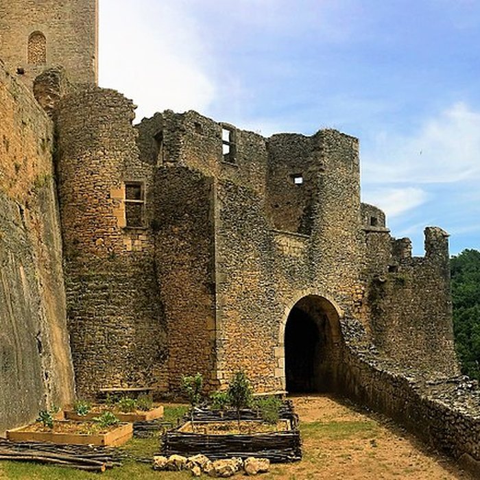 Photo de Château de Bonaguil