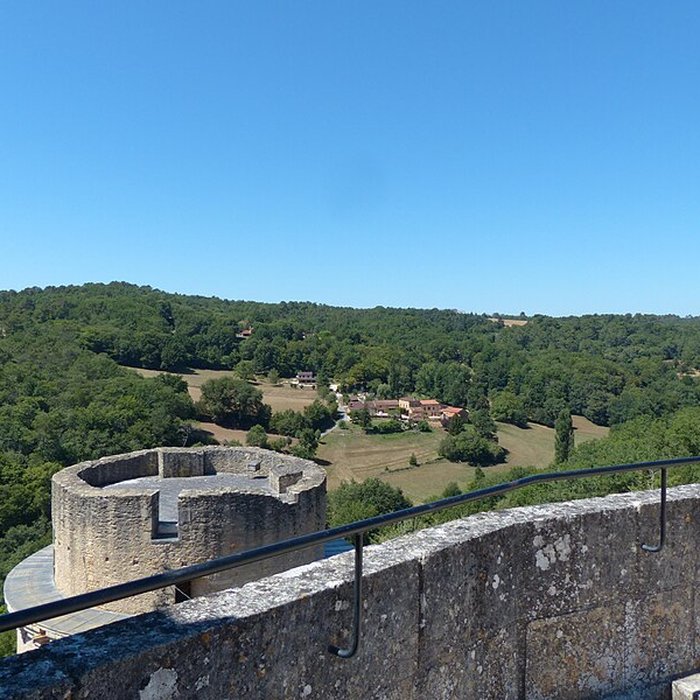 Photo de Château de Bonaguil