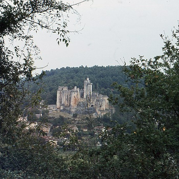 Photo de Château de Bonaguil