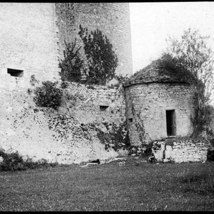 Photo de Château de Bonaguil