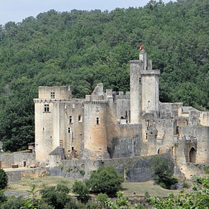 Photo de Château de Bonaguil