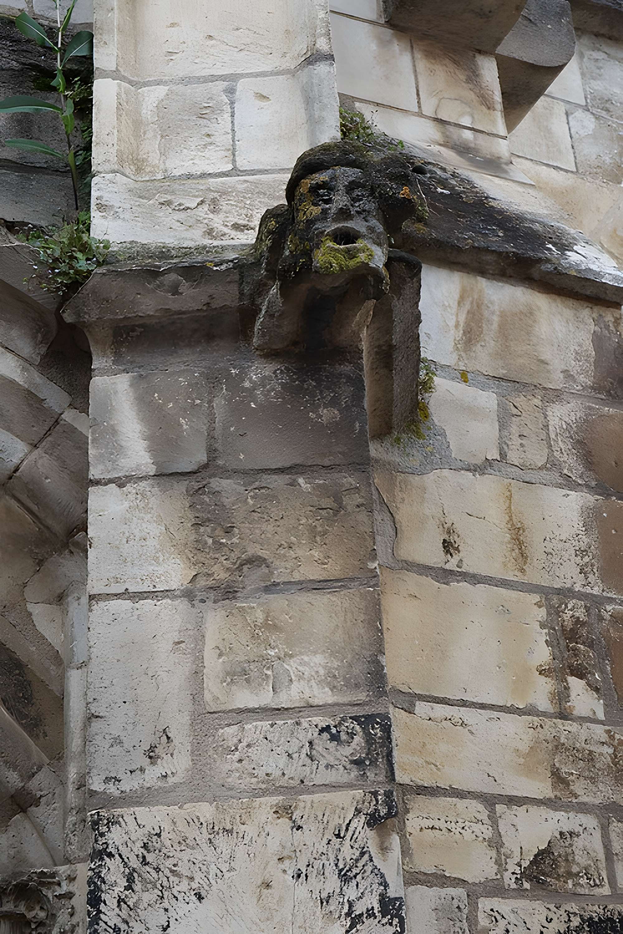 Église Saint-Prix-et-Saint-Cot de Saint-Bris-le-Vineux