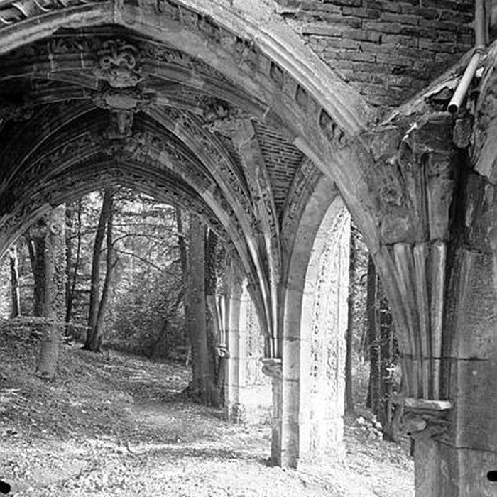 Photo de Restes du château de Sarcus