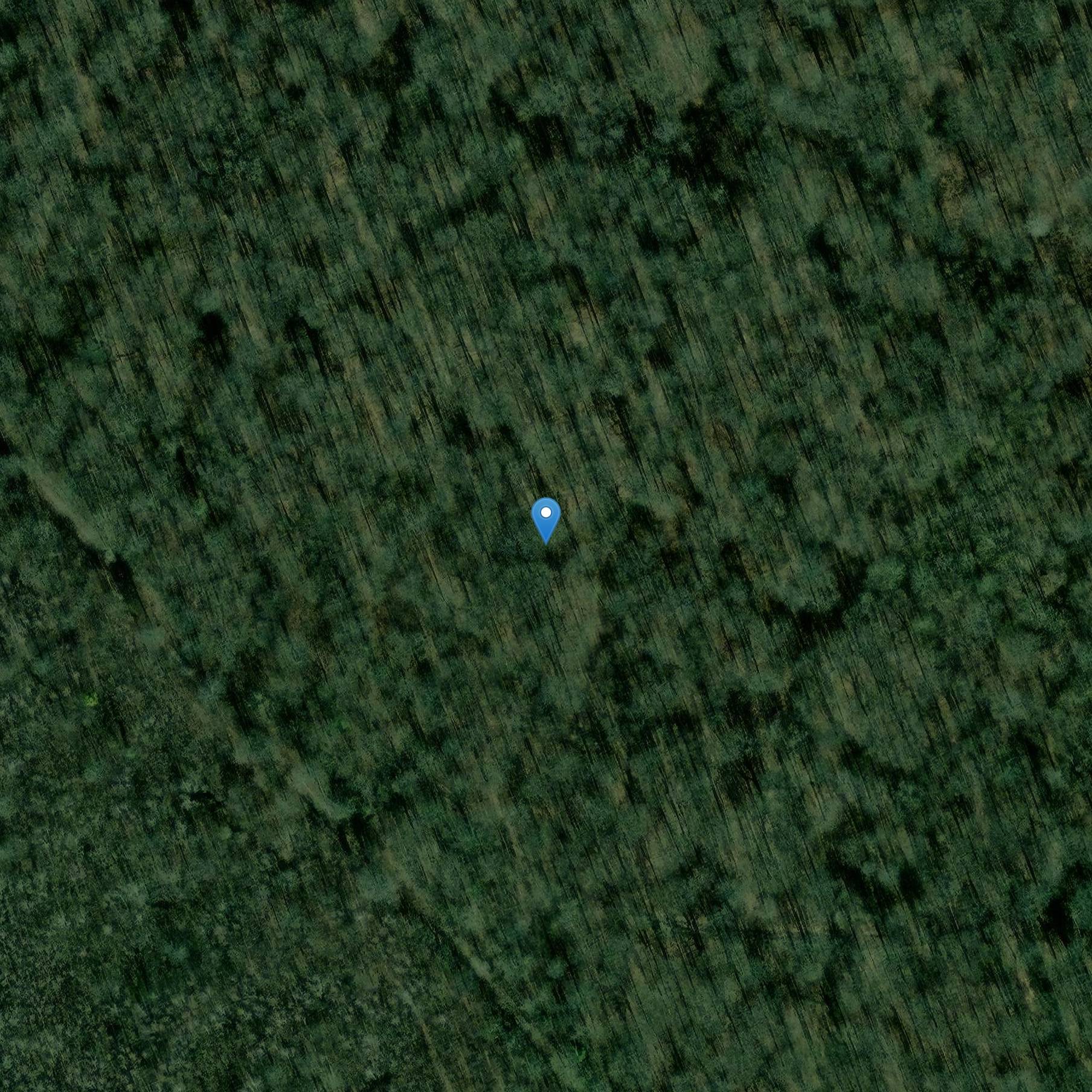 Photo de Campo di Cesare