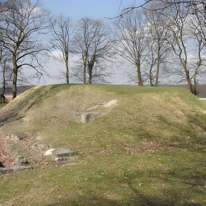 Photo de Ruines gallo-romaines de Champlieu