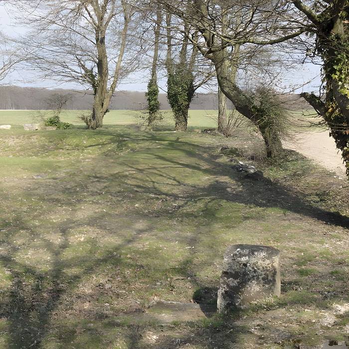 Photo de Ruines gallo-romaines de Champlieu