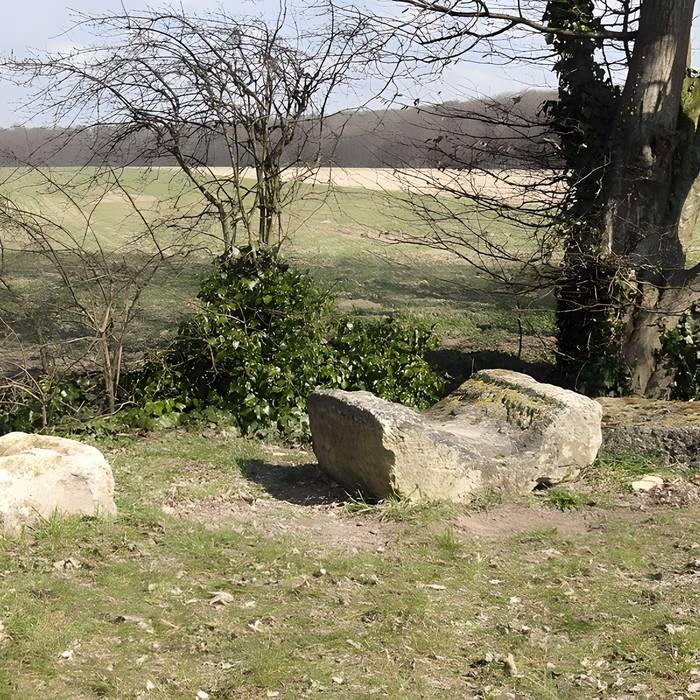 Photo de Ruines gallo-romaines de Champlieu