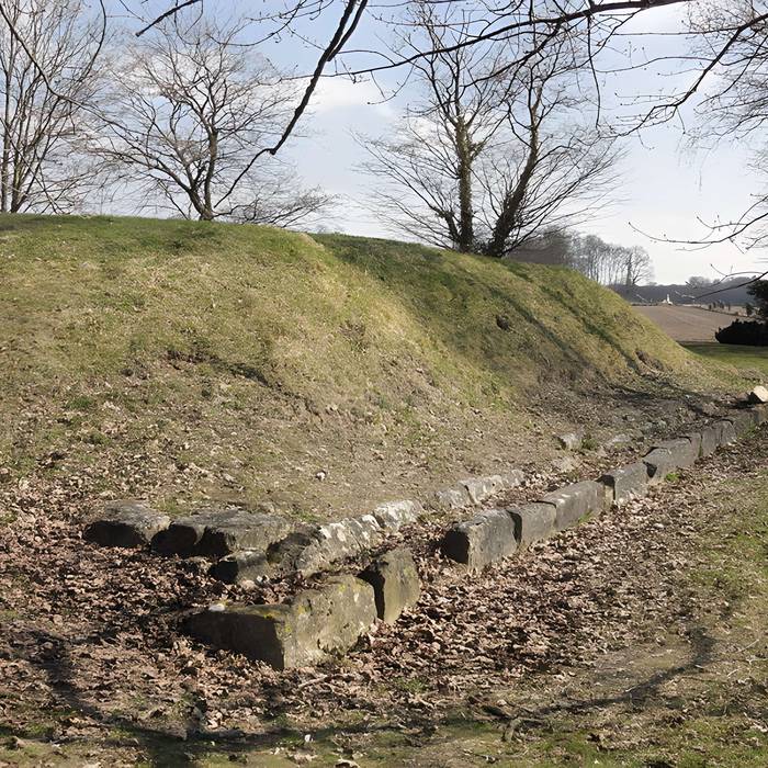 Photo de Ruines gallo-romaines de Champlieu
