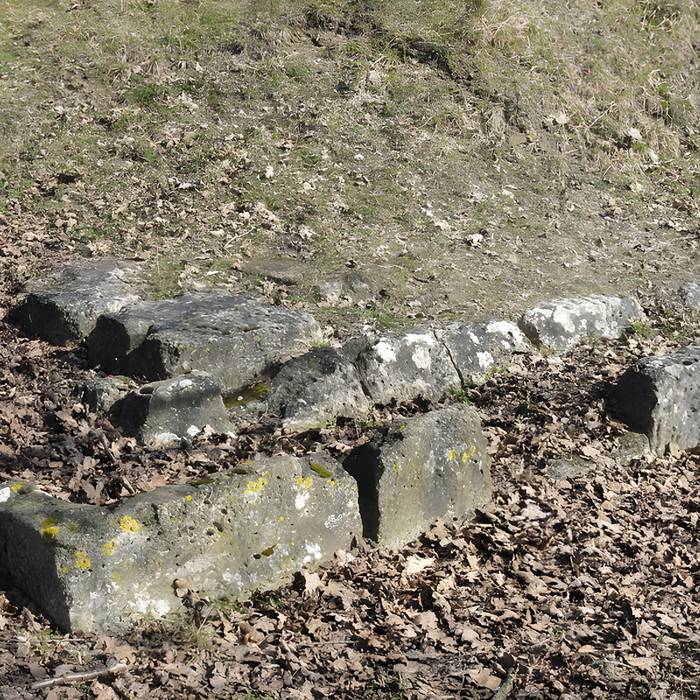 Photo de Ruines gallo-romaines de Champlieu