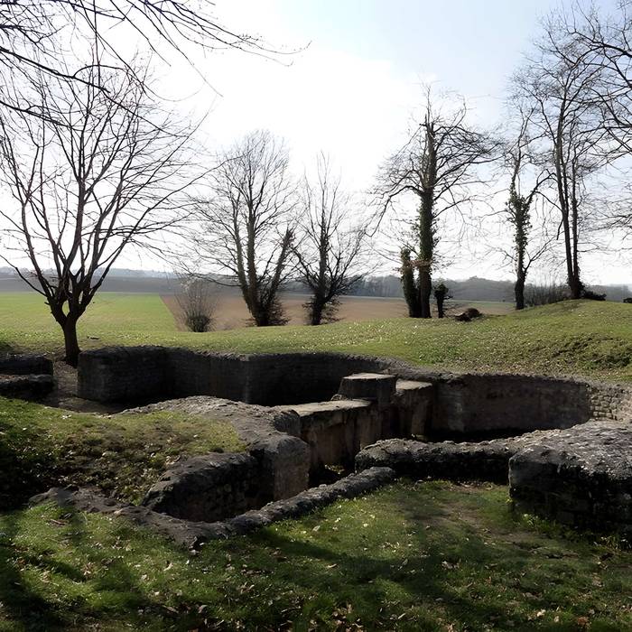Photo de Ruines gallo-romaines de Champlieu