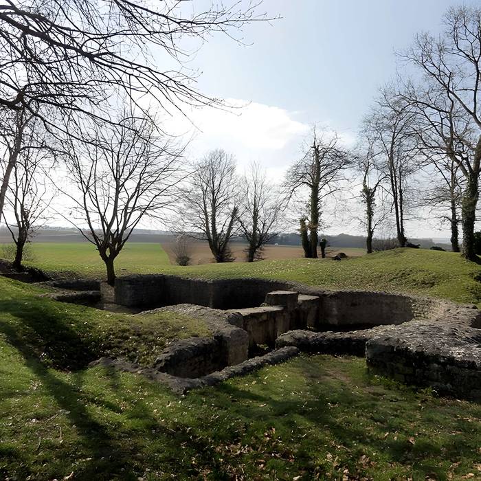 Photo de Ruines gallo-romaines de Champlieu