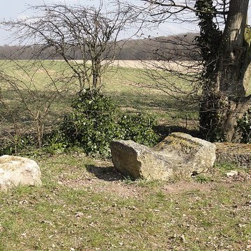 Ruines gallo-romaines de Champlieu