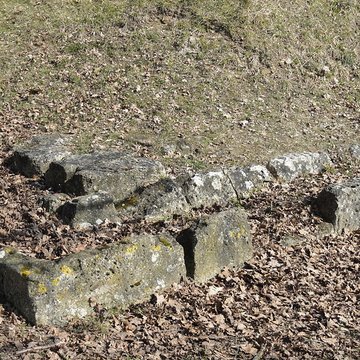 Ruines gallo-romaines de Champlieu