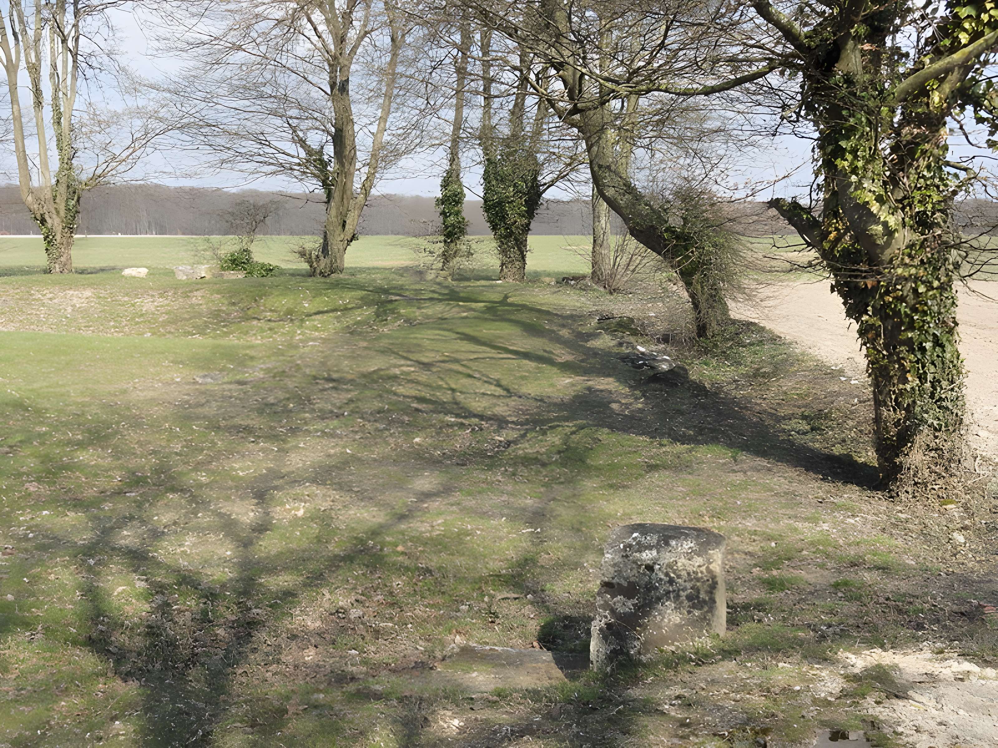 Ruines gallo-romaines de Champlieu