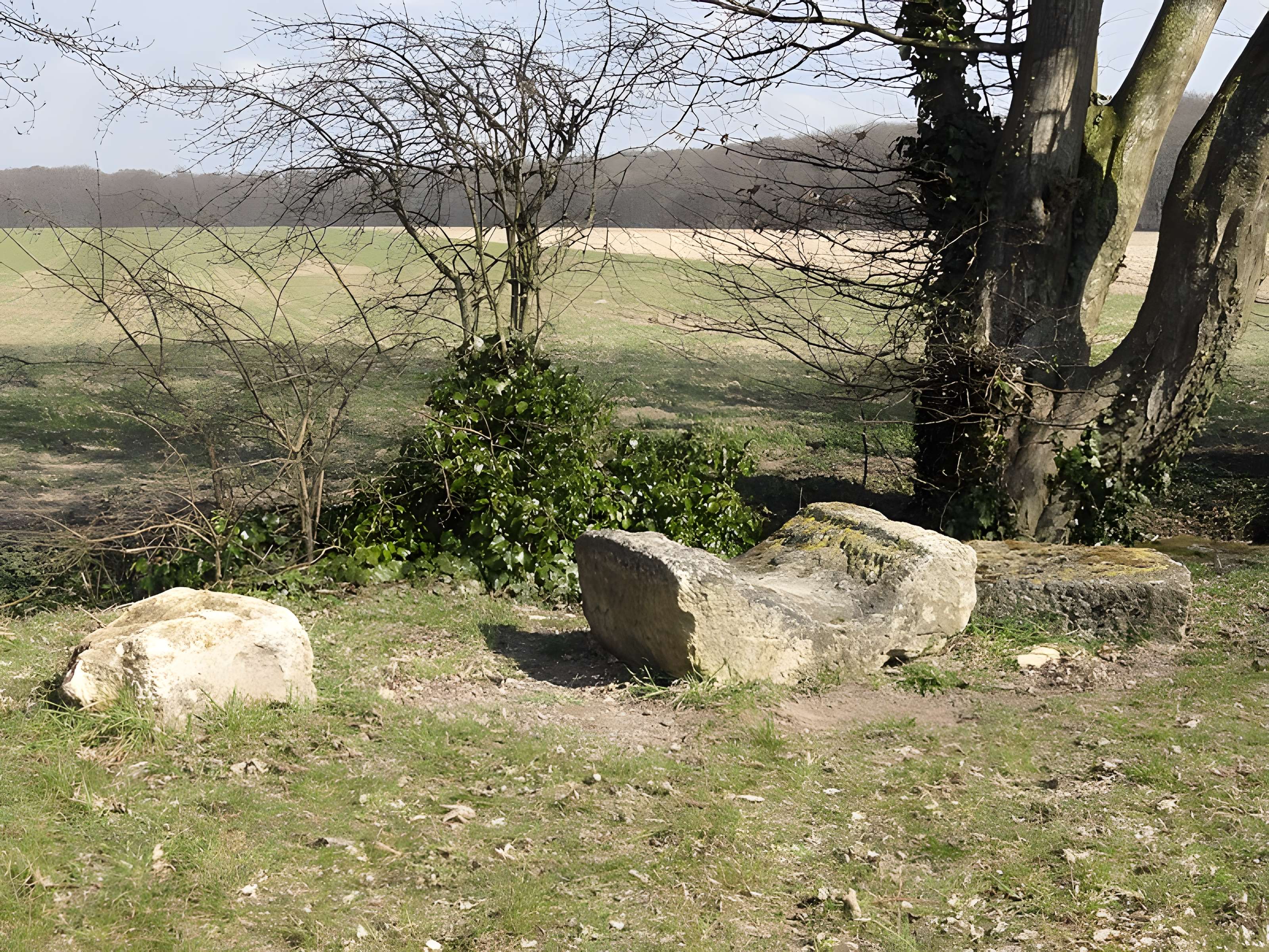 Ruines gallo-romaines de Champlieu