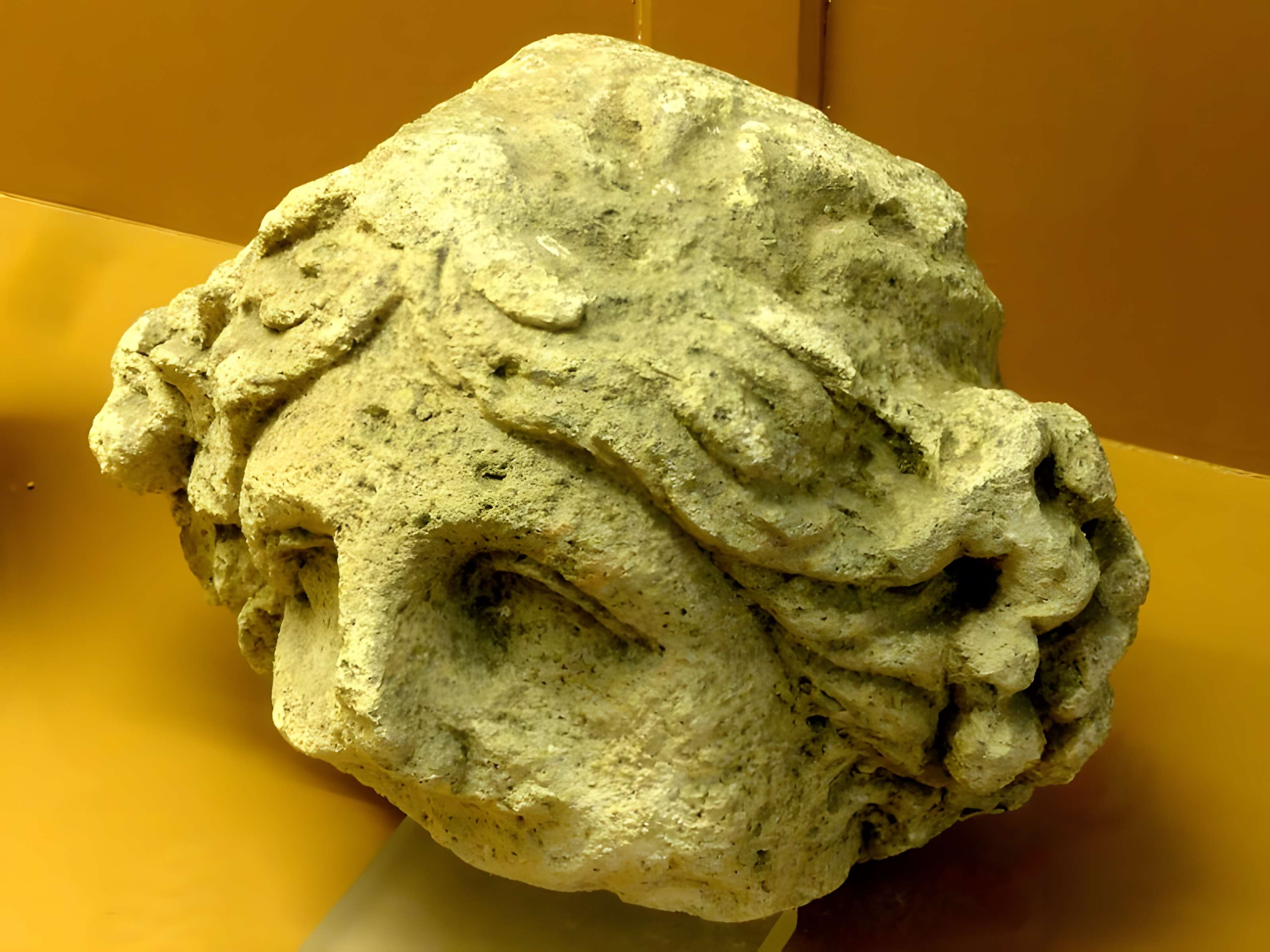 Ruines gallo-romaines de Champlieu