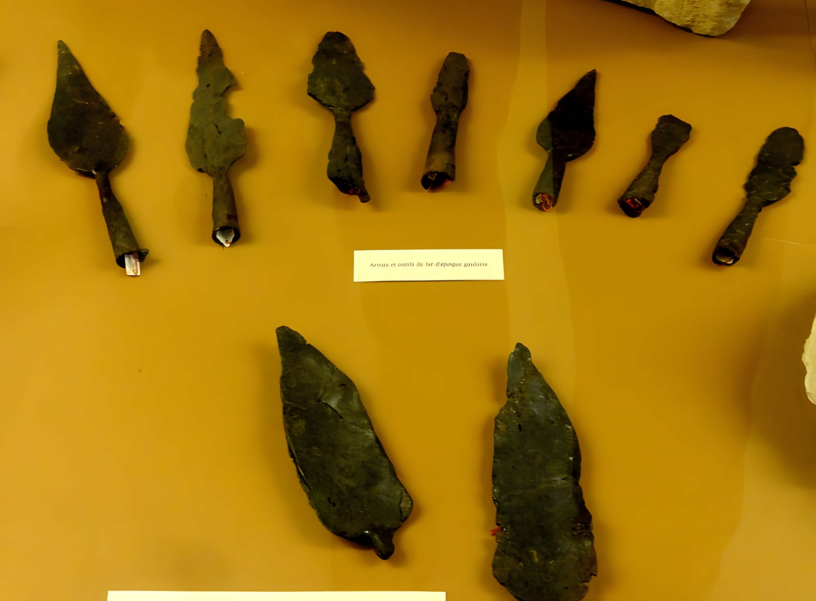 Ruines gallo-romaines de Champlieu