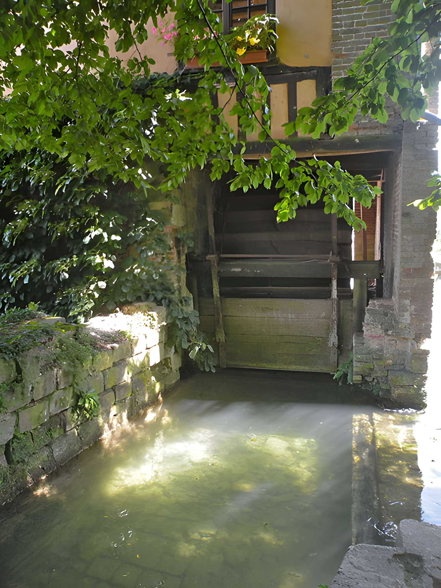 Moulin Vertu