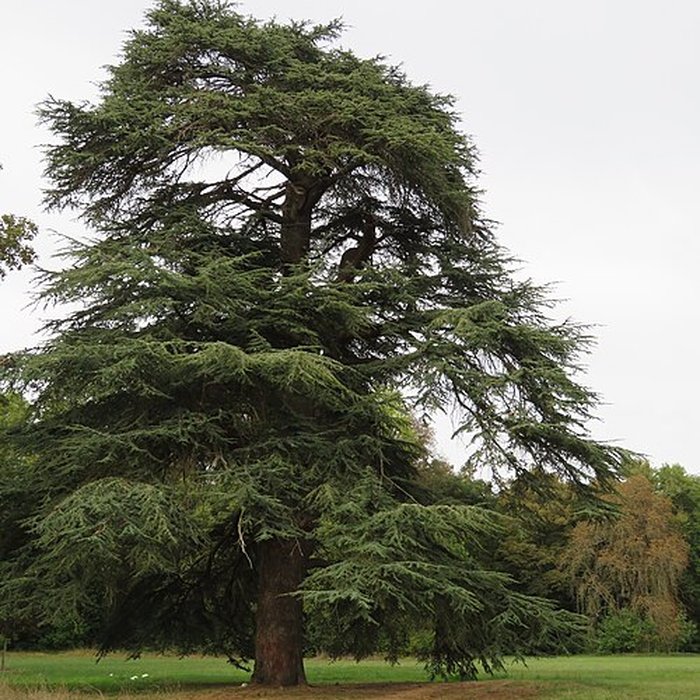 Photo de Château de Tartigny