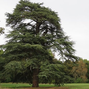 Château de Tartigny