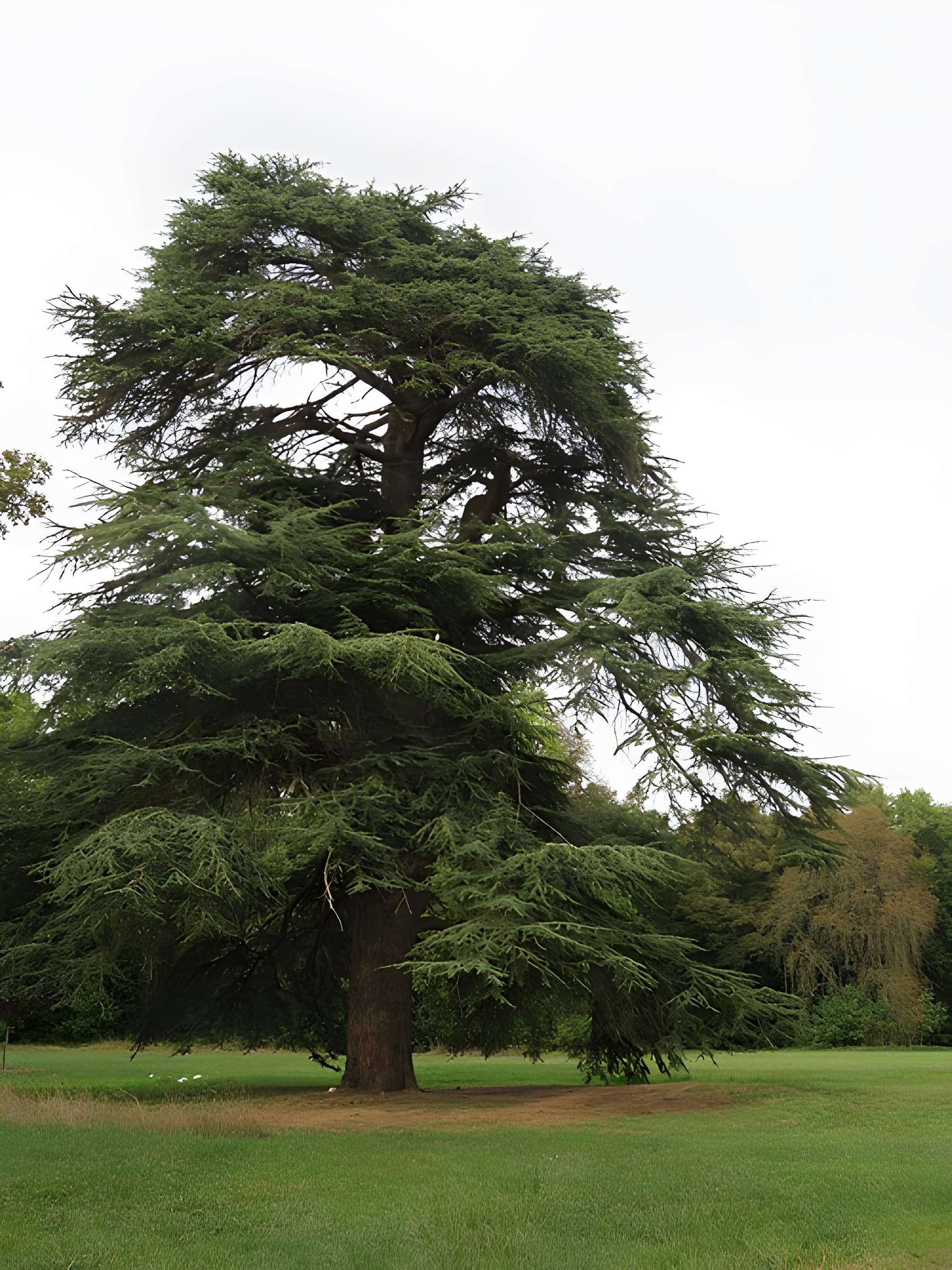 Château de Tartigny