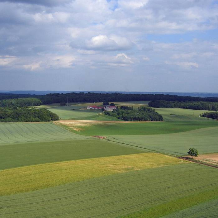 Photo de Ancien Hôtel de ville