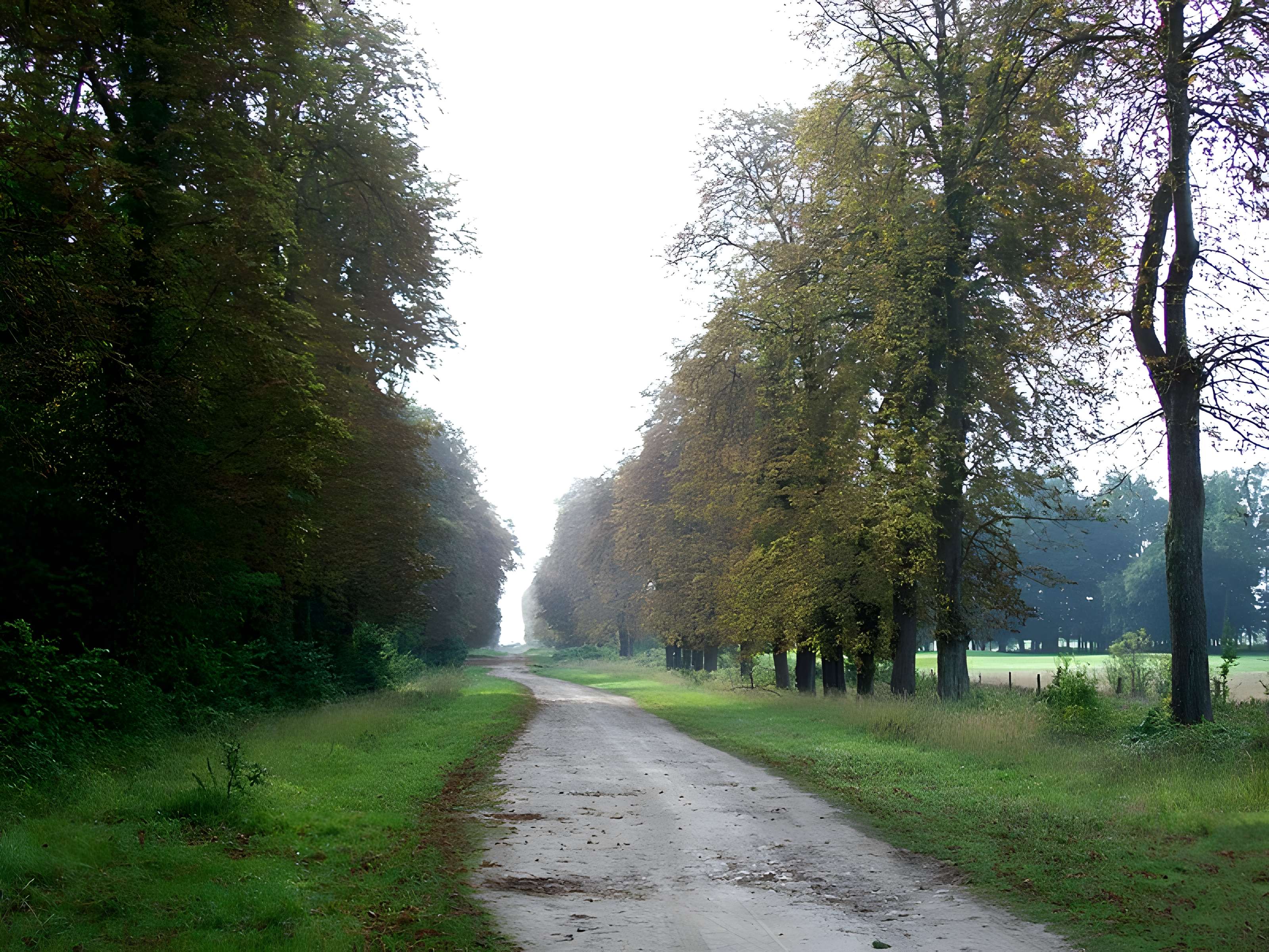 Parc du domaine de Chantilly (également sur communes de Chantilly et Avilly-Saint-Léonard)