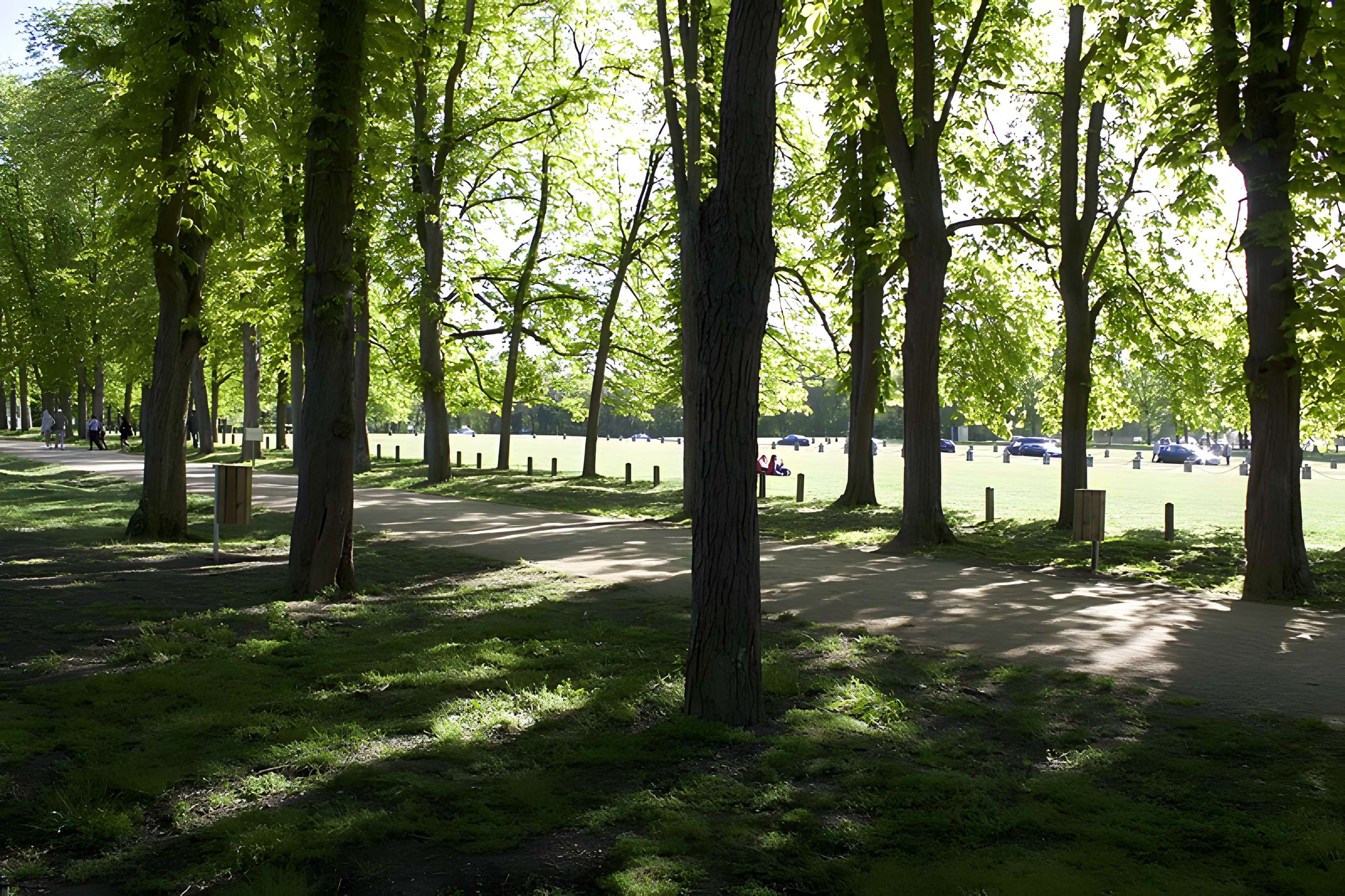 Parc du domaine de Chantilly (également sur communes de Chantilly et Avilly-Saint-Léonard)