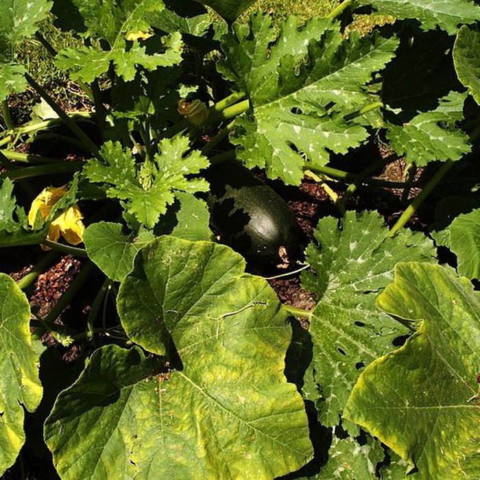 Photo de Manoir de Soisai