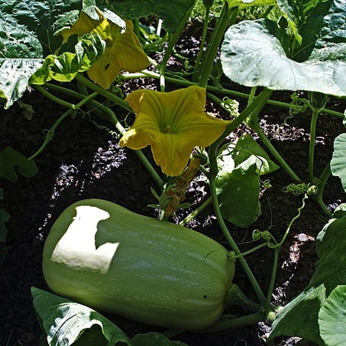 Photo de Manoir de Soisai