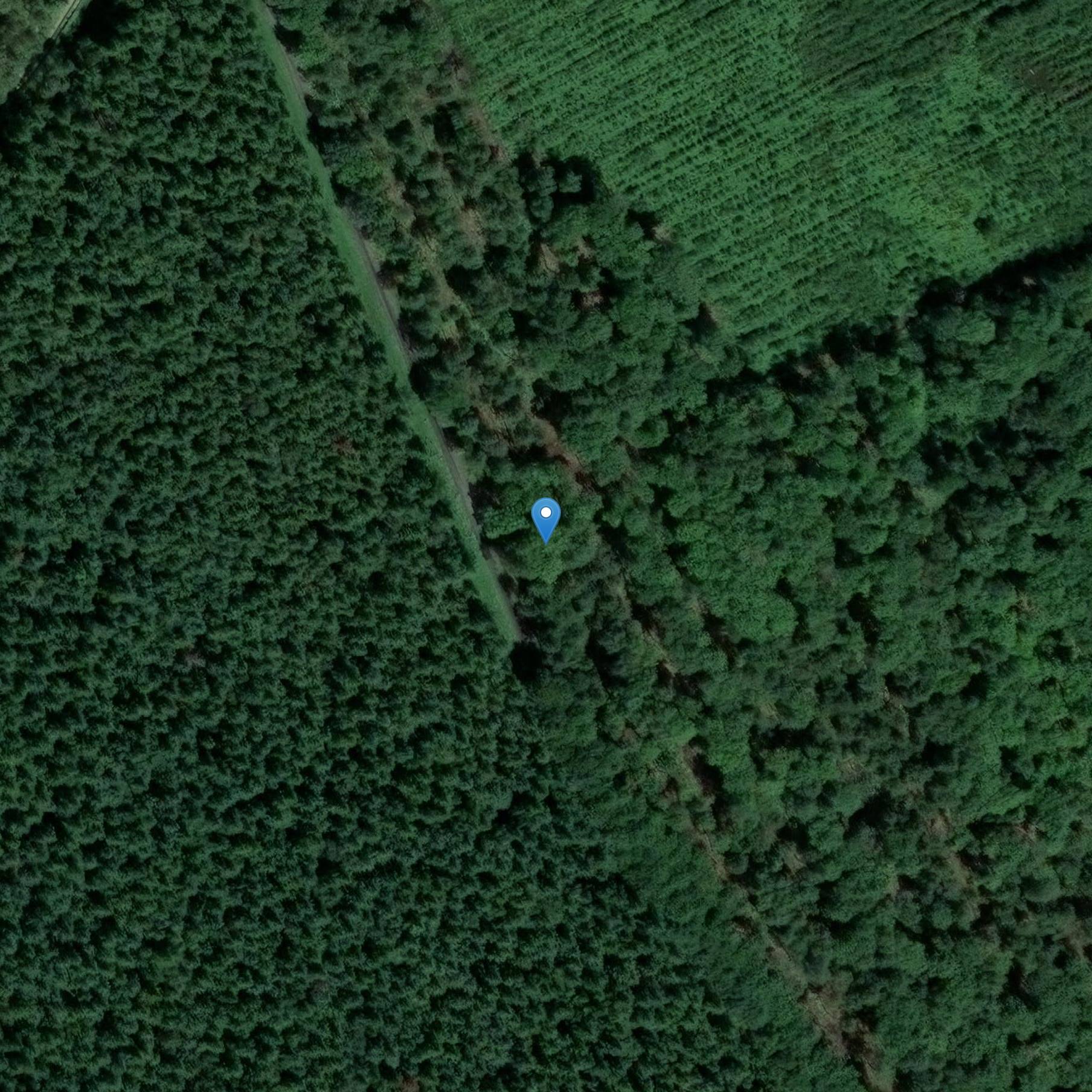 Photo de Dolmen dit de la Grosse-Pierre