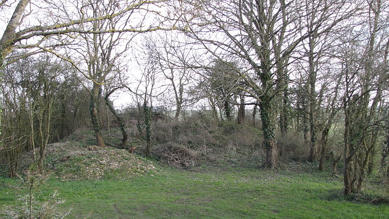 Photo de Tumulus dit des Hogues