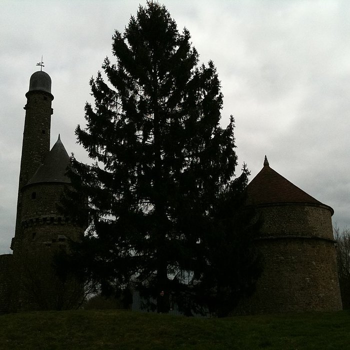 Photo de Ancien château de Bonvouloir