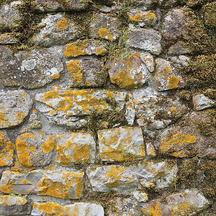 Photo de Ancien château de Bonvouloir