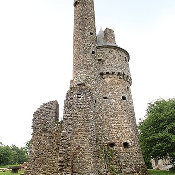 Photo de Ancien château de Bonvouloir