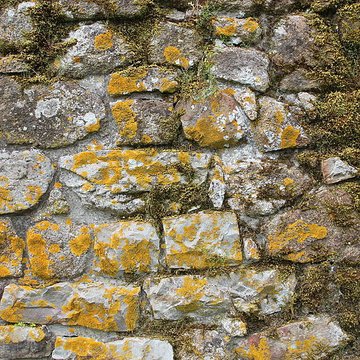 Ancien château de Bonvouloir