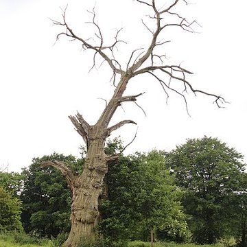 Ancien château de Bonvouloir