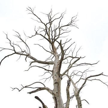 Ancien château de Bonvouloir