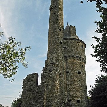 Ancien château de Bonvouloir