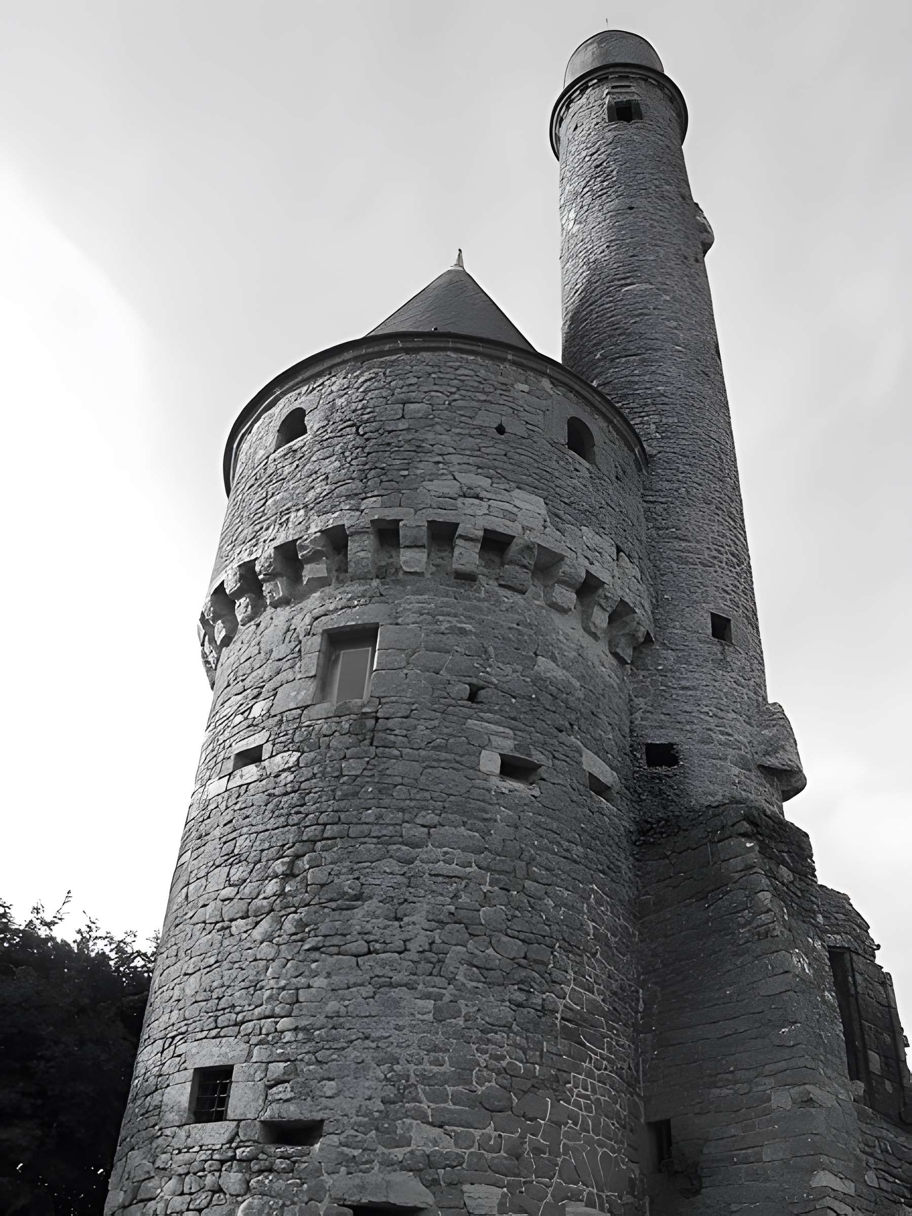 Ancien château de Bonvouloir