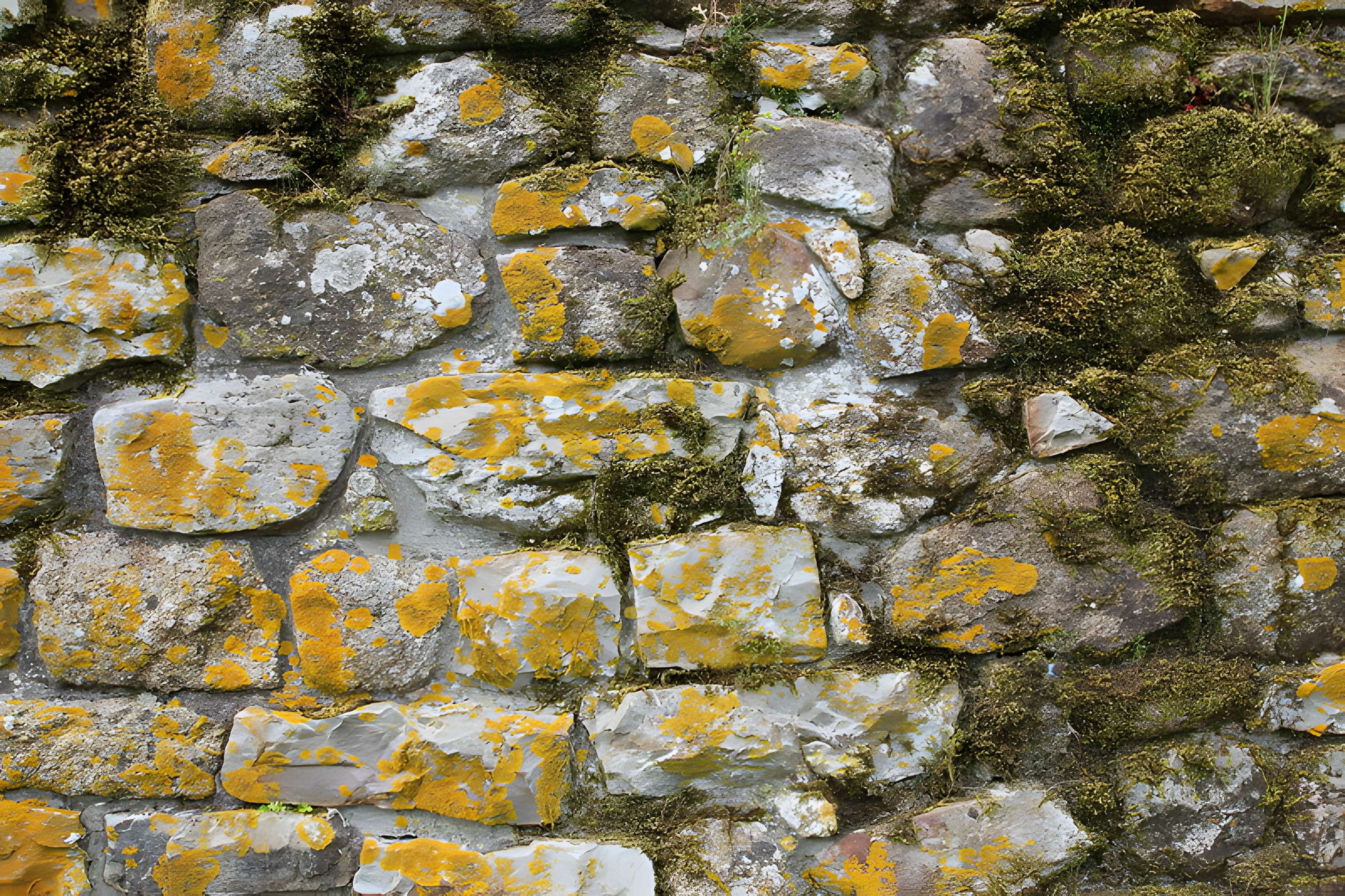 Ancien château de Bonvouloir