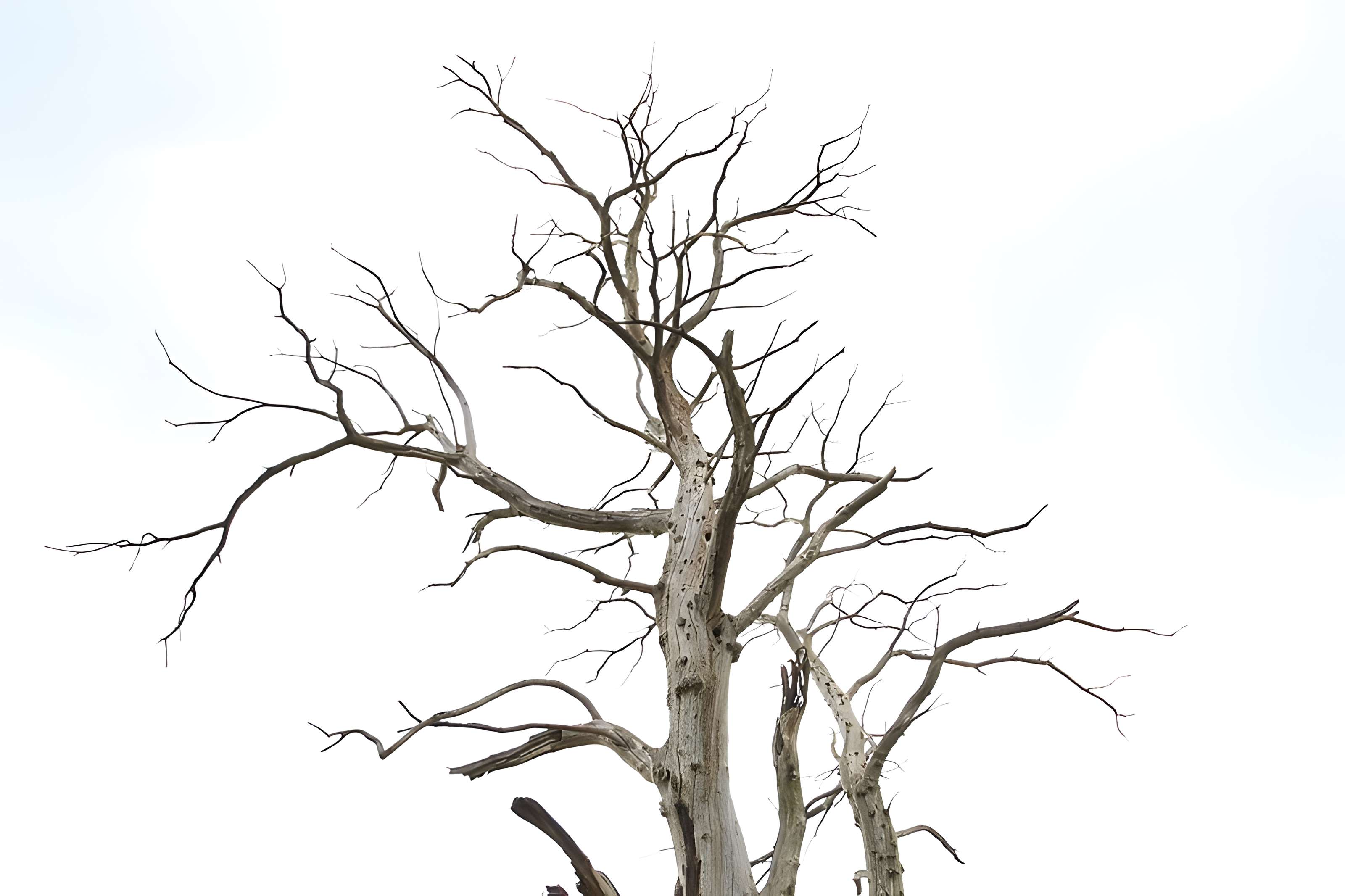 Ancien château de Bonvouloir