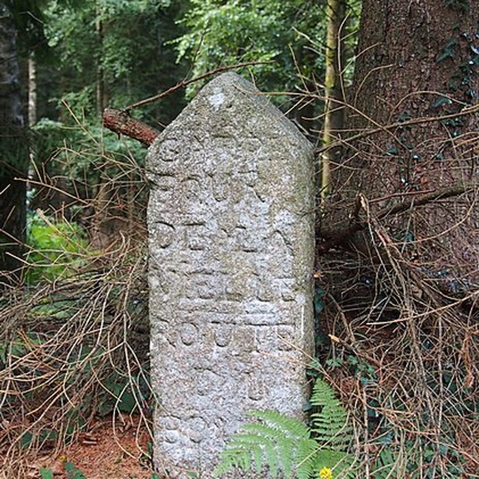 Photo de 80 bornes de la forêt dEcouves également sur communes de Le Bouillon, La Chapelle-près-Sées, La Ferrière-Béchet, Fontenai-les-Louvets, Radon, Rouperroux, Saint-Didier-sous-Ecouves, Saint-Gervais-du-Perron, Saint-Nicolas-des-Bois, Tanville et Vingt-Hanap