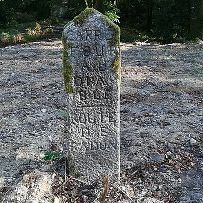 Photo de 80 bornes de la forêt dEcouves également sur communes de Le Bouillon, La Chapelle-près-Sées, La Ferrière-Béchet, Fontenai-les-Louvets, Radon, Rouperroux, Saint-Didier-sous-Ecouves, Saint-Gervais-du-Perron, Saint-Nicolas-des-Bois, Tanville et Vingt-Hanap