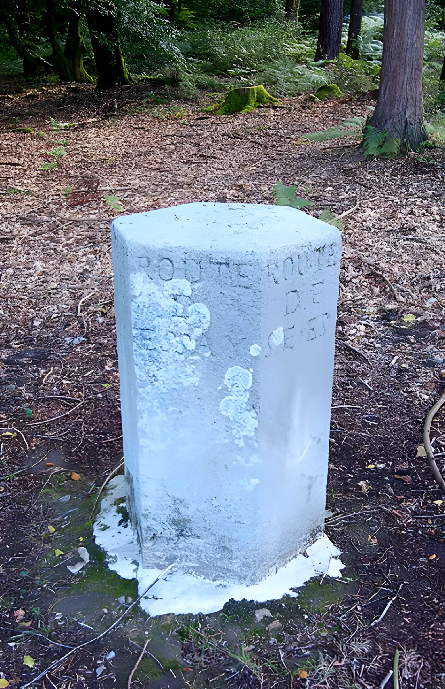 80 bornes de la forêt d'Ecouves (également sur communes de Le Bouillon, La Chapelle-près-Sées, La Ferrière-Béchet, Fontenai-les-Louvets, Radon, Rouperroux, Saint-Didier-sous-Ecouves, Saint-Gervais-du-Perron, Saint-Nicolas-des-Bois, Tanville et Vingt-Hanap