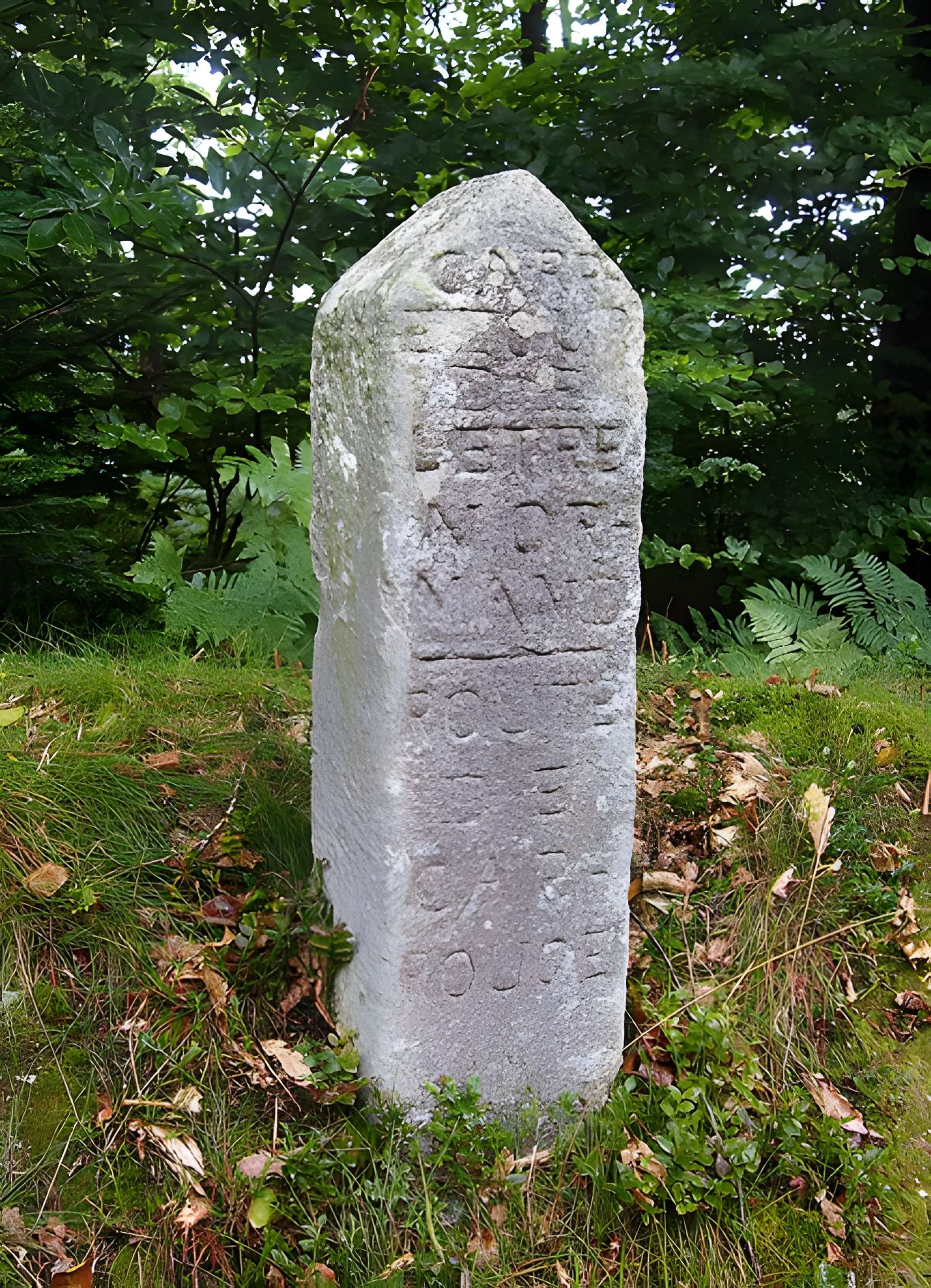 80 bornes de la forêt d'Ecouves (également sur communes de Le Bouillon, La Chapelle-près-Sées, La Ferrière-Béchet, Fontenai-les-Louvets, Radon, Rouperroux, Saint-Didier-sous-Ecouves, Saint-Gervais-du-Perron, Saint-Nicolas-des-Bois, Tanville et Vingt-Hanap